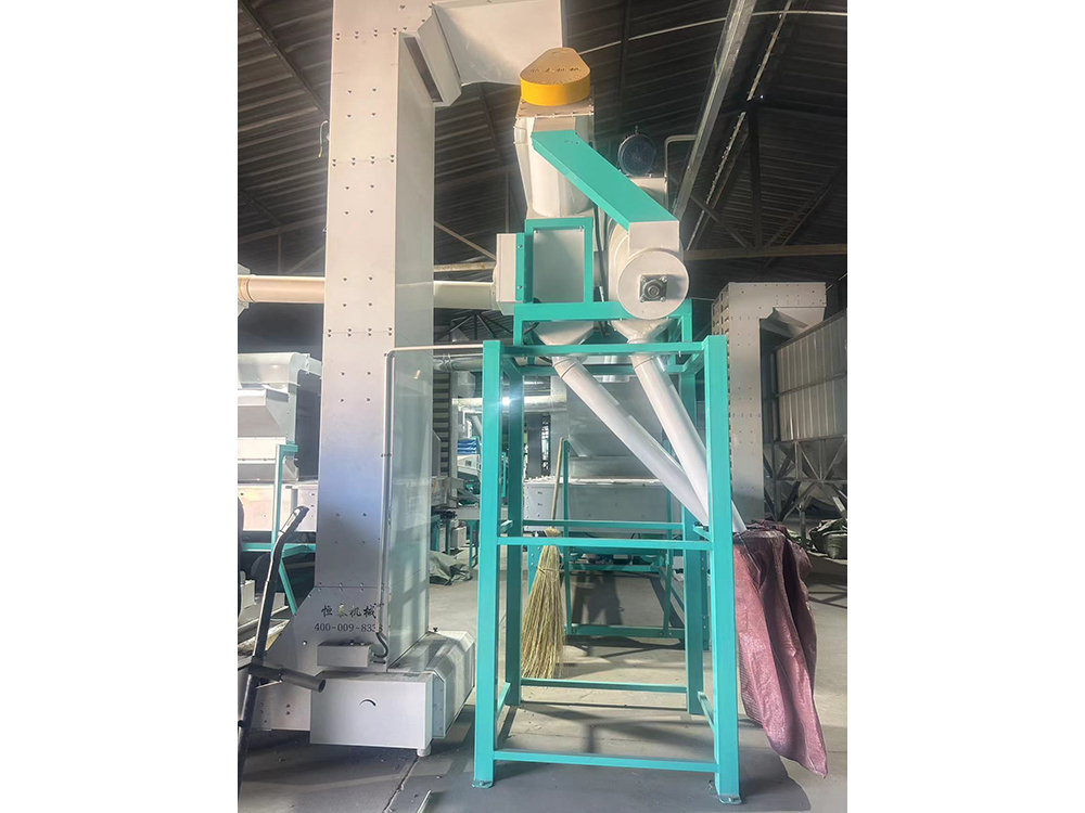 plant and equipment_6