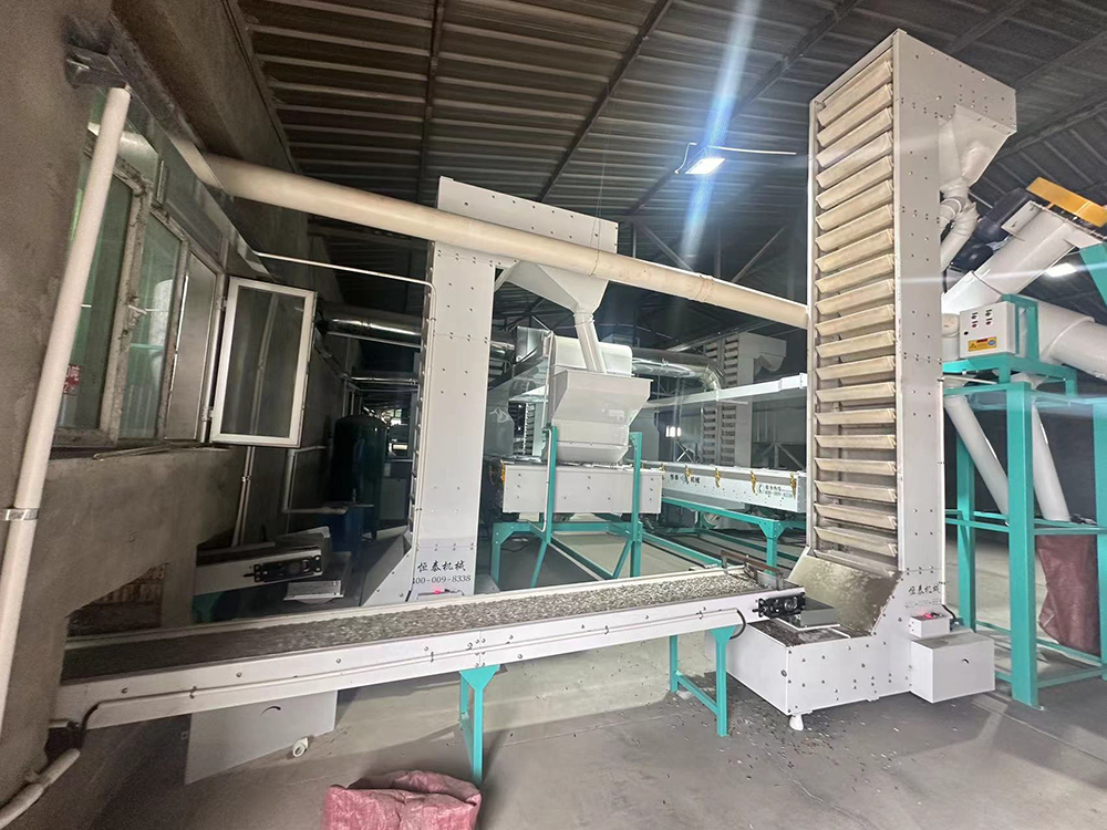 plant and equipment_4