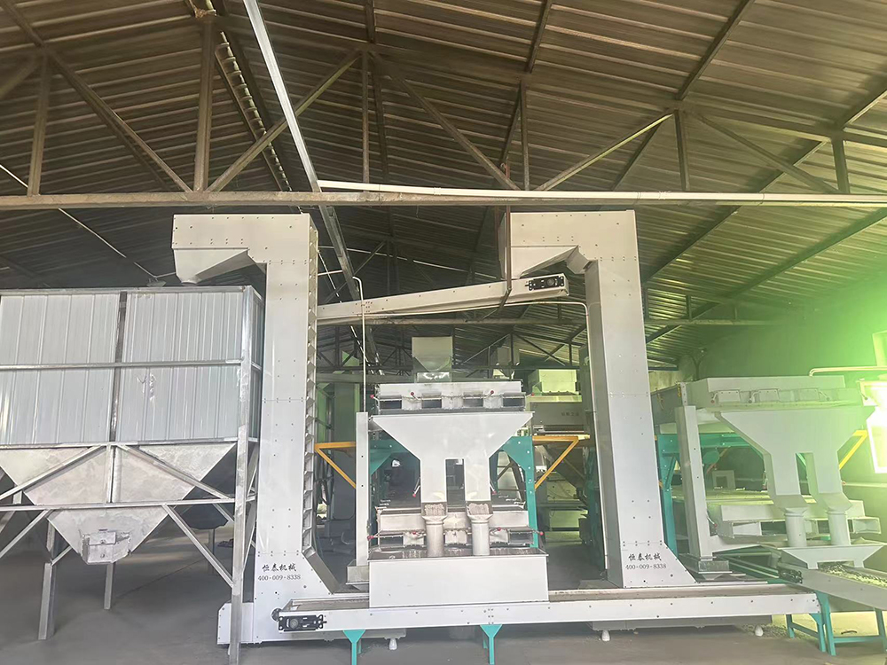 plant and equipment_1