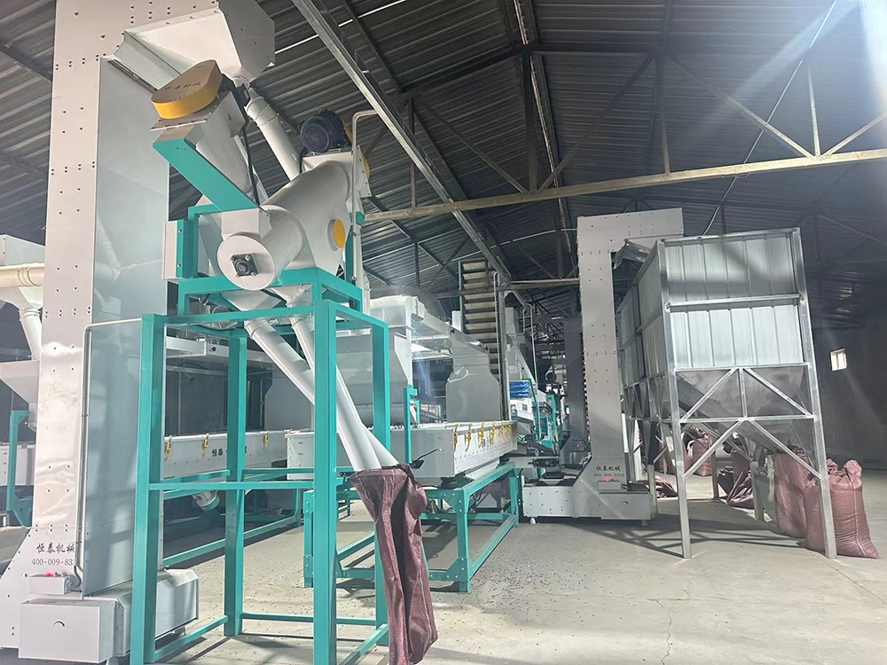 plant and equipment_5