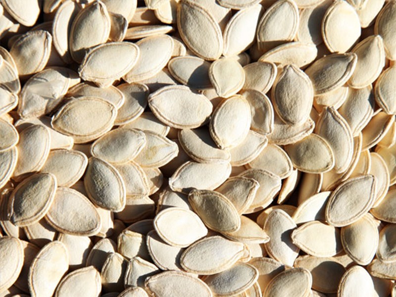 Pumpkin seeds