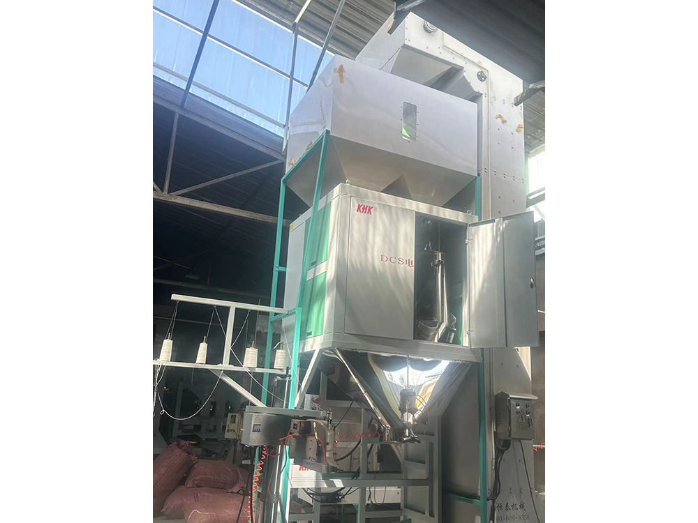 plant and equipment_3