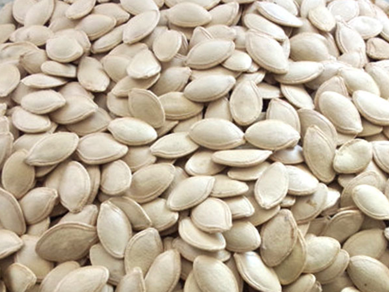 Pumpkin seeds