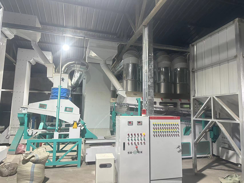 plant and equipment_2