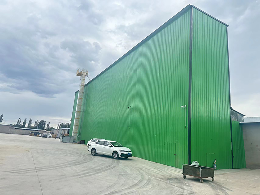 plant and equipment_7