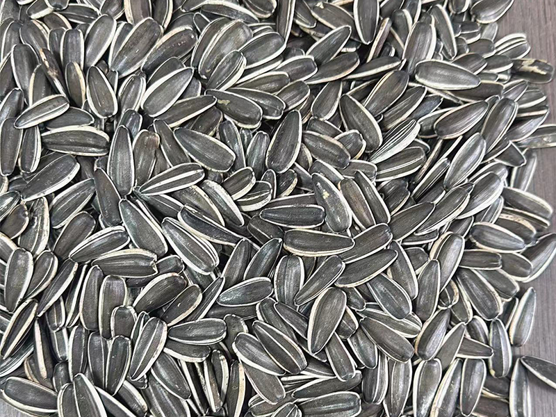 T6 Sunflower seeds